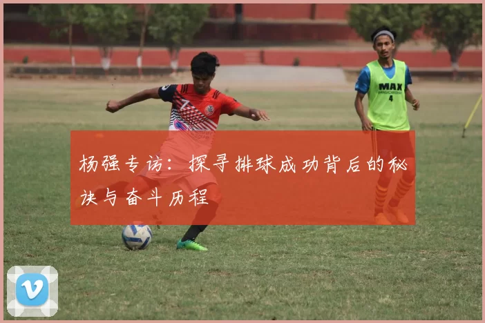 杨强专访：探寻排球成功背后的秘诀与奋斗历程