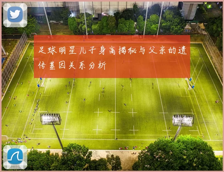 足球明星儿子身高揭秘与父亲的遗传基因关系分析