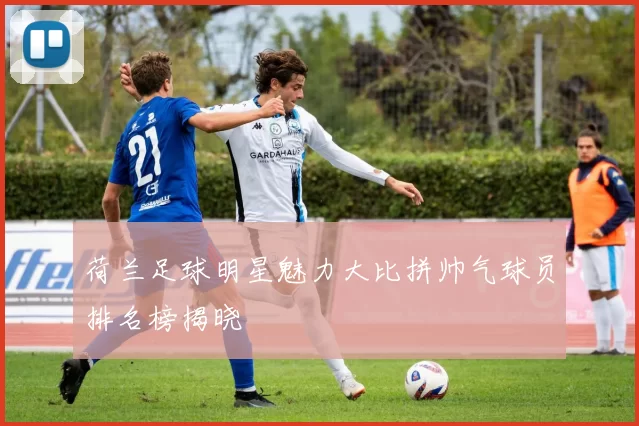 荷兰足球明星魅力大比拼帅气球员排名榜揭晓