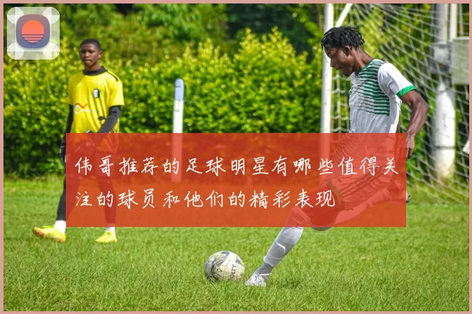 伟哥推荐的足球明星有哪些值得关注的球员和他们的精彩表现