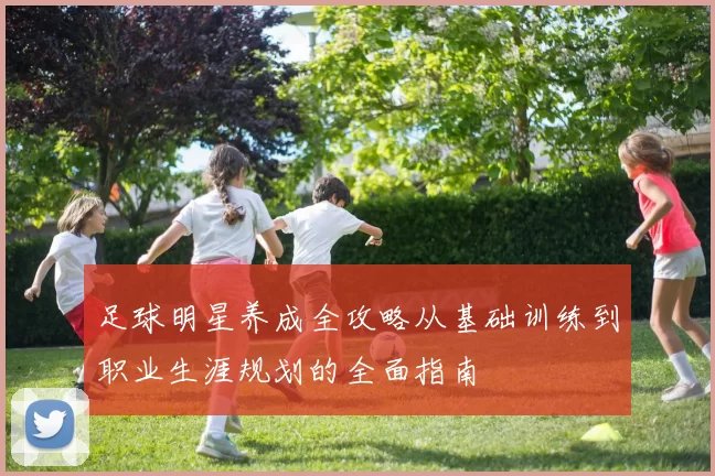 足球明星养成全攻略从基础训练到职业生涯规划的全面指南