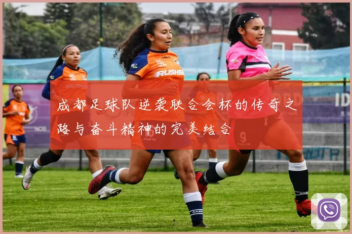 成都足球队逆袭联合会杯的传奇之路与奋斗精神的完美结合