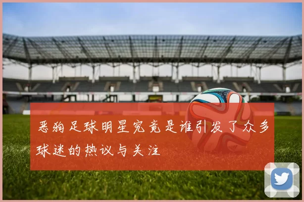 恶狗足球明星究竟是谁引发了众多球迷的热议与关注