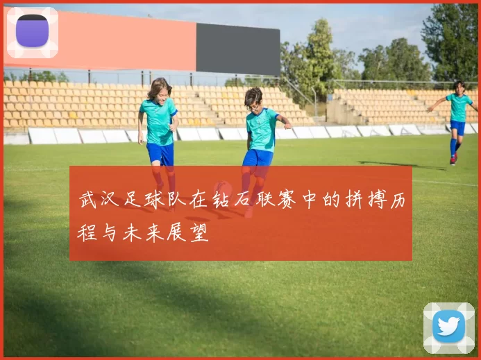 武汉足球队在钻石联赛中的拼搏历程与未来展望