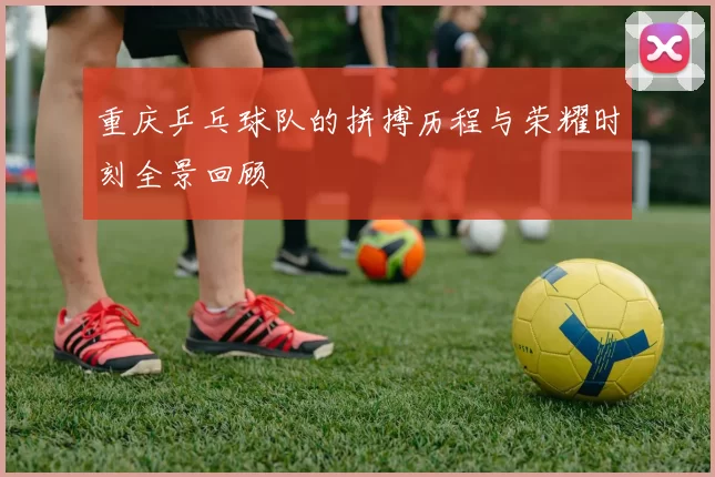 重庆乒乓球队的拼搏历程与荣耀时刻全景回顾
