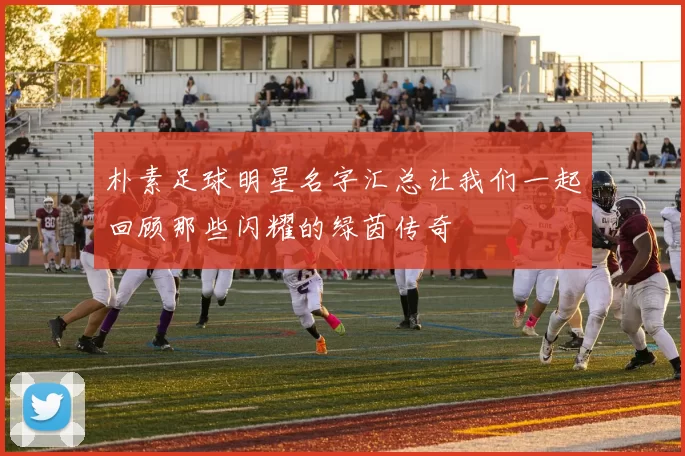 朴素足球明星名字汇总让我们一起回顾那些闪耀的绿茵传奇
