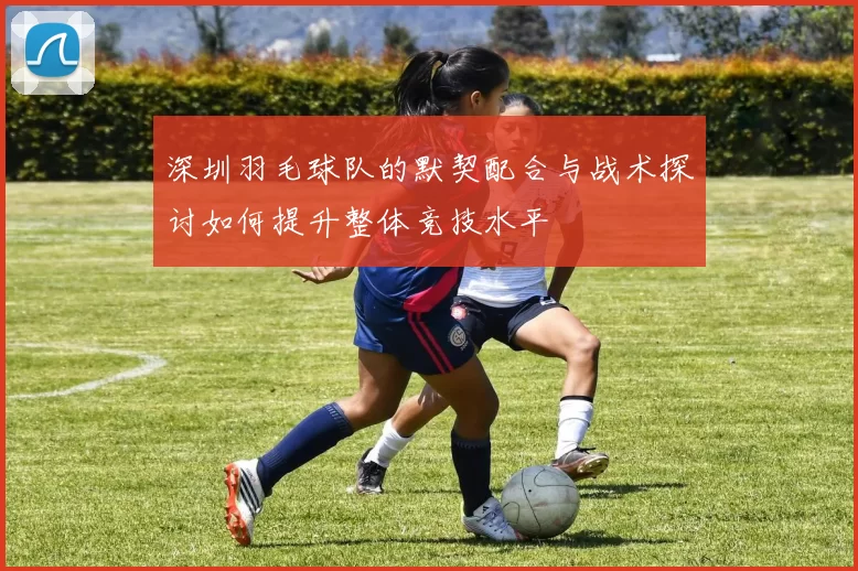 深圳羽毛球队的默契配合与战术探讨如何提升整体竞技水平