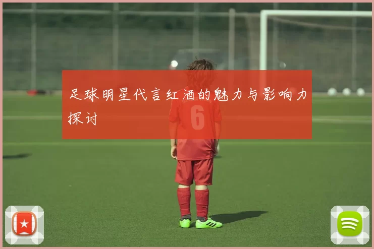 足球明星代言红酒的魅力与影响力探讨
