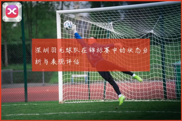 深圳羽毛球队在锦标赛中的状态分析与表现评估
