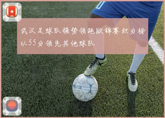 武汉足球队强势领跑欧锦赛积分榜以55分领先其他球队