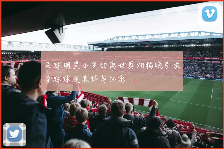 足球明星小罗的离世真相揭晓引发全球球迷哀悼与怀念