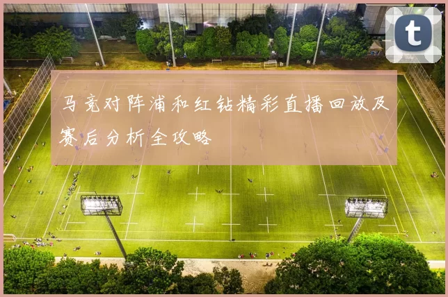 马竞对阵浦和红钻精彩直播回放及赛后分析全攻略
