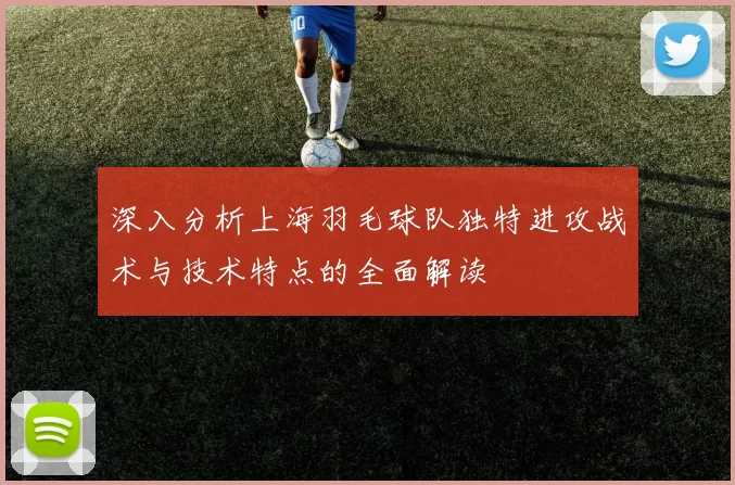 深入分析上海羽毛球队独特进攻战术与技术特点的全面解读