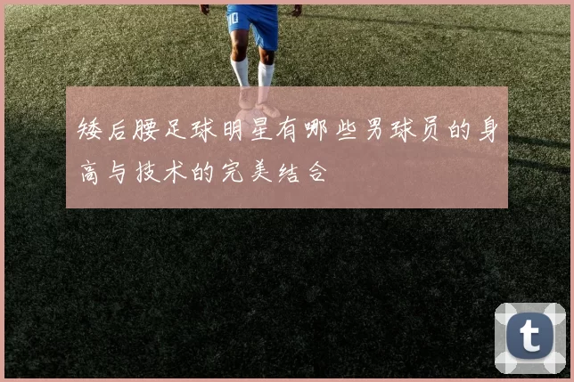 矮后腰足球明星有哪些男球员的身高与技术的完美结合