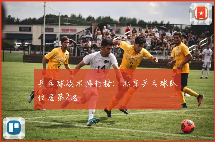 乒乓球战术排行榜：北京乒乓球队位居第2名