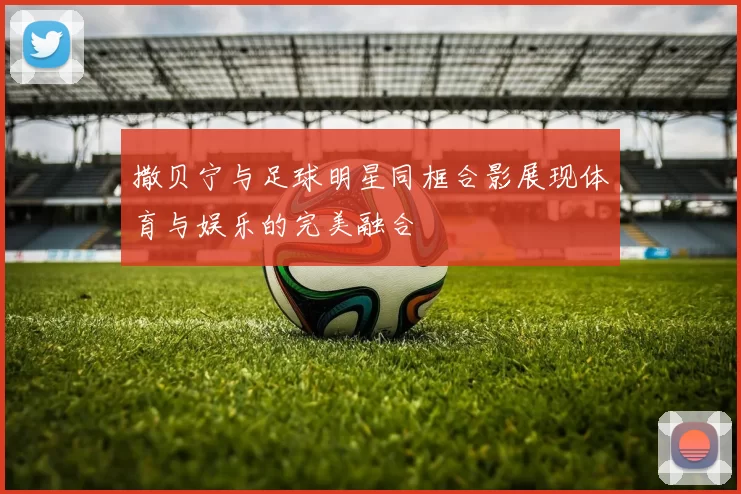 撒贝宁与足球明星同框合影展现体育与娱乐的完美融合