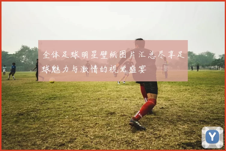 全体足球明星壁纸图片汇总尽享足球魅力与激情的视觉盛宴