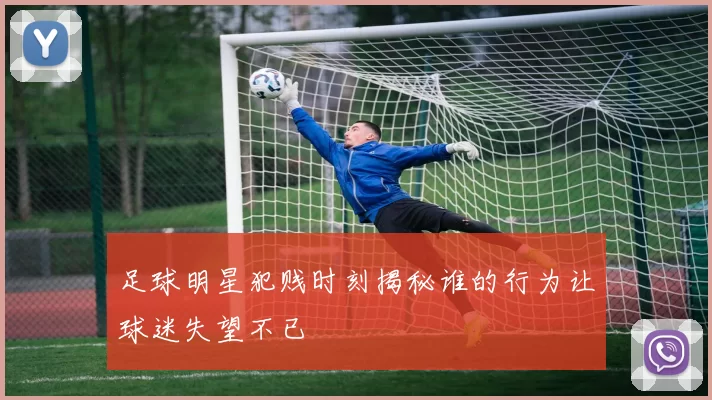 足球明星犯贱时刻揭秘谁的行为让球迷失望不已